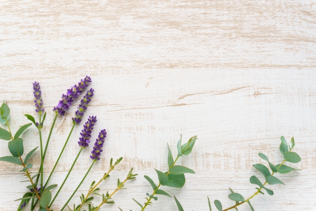 ラベンダーとユーカリ